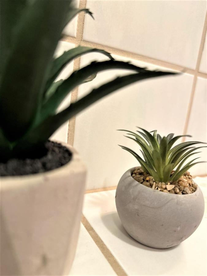 Cozy Apartment In Bavarian Forest +Pool +Sauna +Netflix Zwiesel Exterior foto